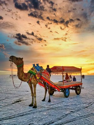 Kutch