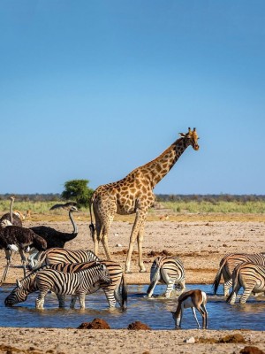Tanzania