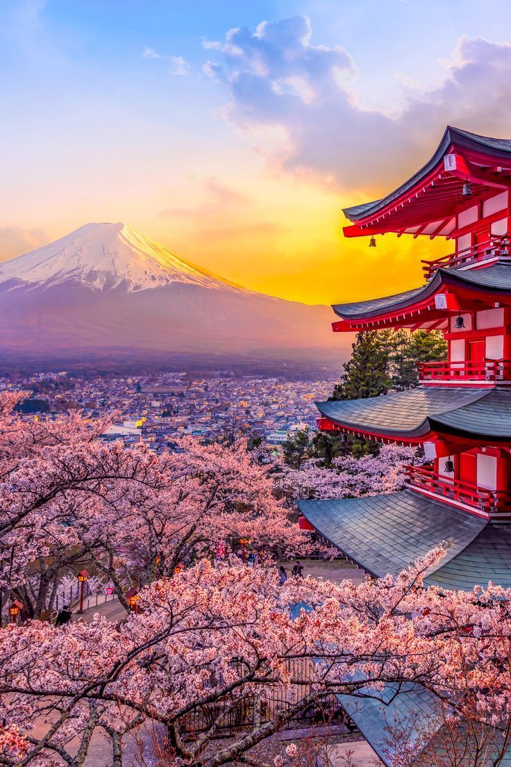 Fujiyoshida, Japan Beautiful view of mountain Fuji and Chureito pagoda at sunset, japan in the spring with cherry blossoms
