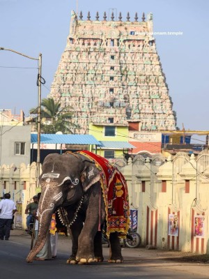 South India