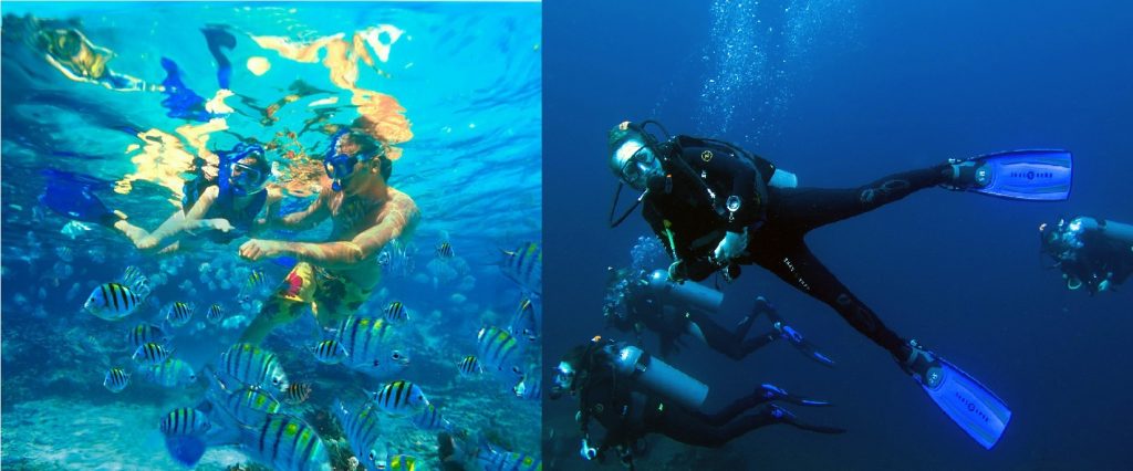 Scuba diving and Snorkeling