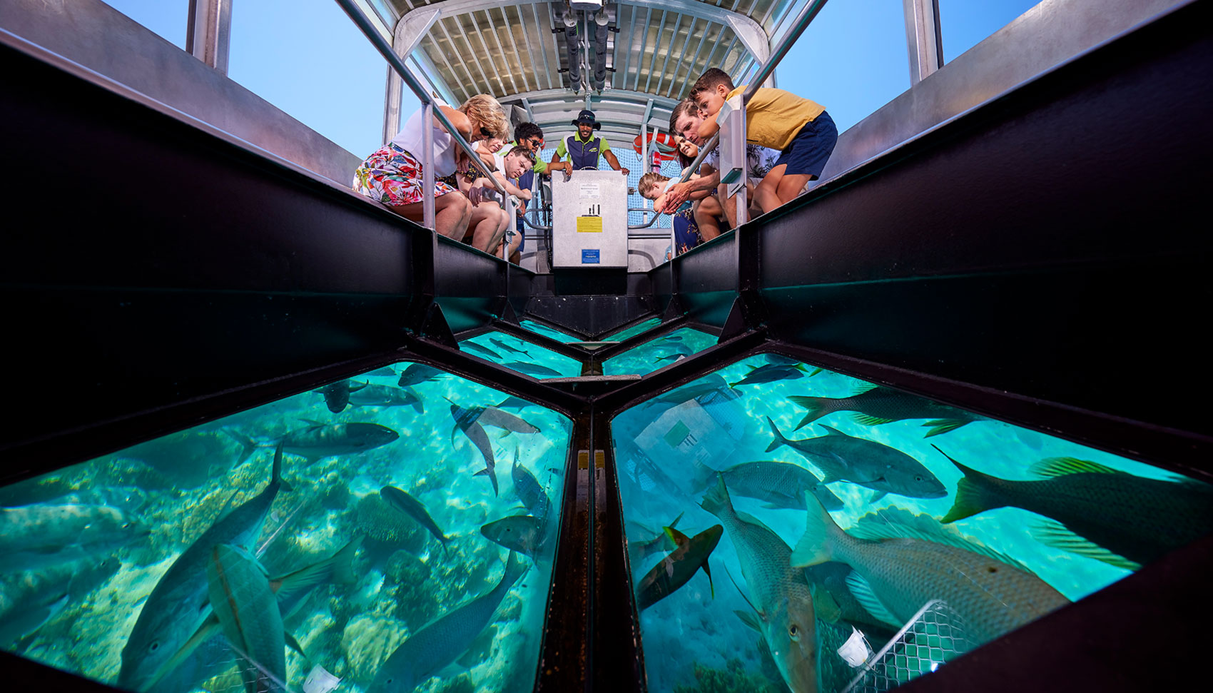 Glass bottom boat rides