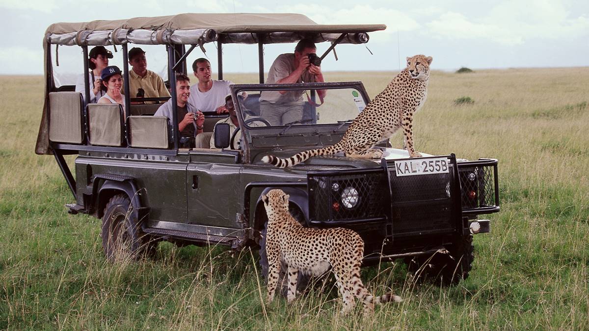 Masai Mara Safari