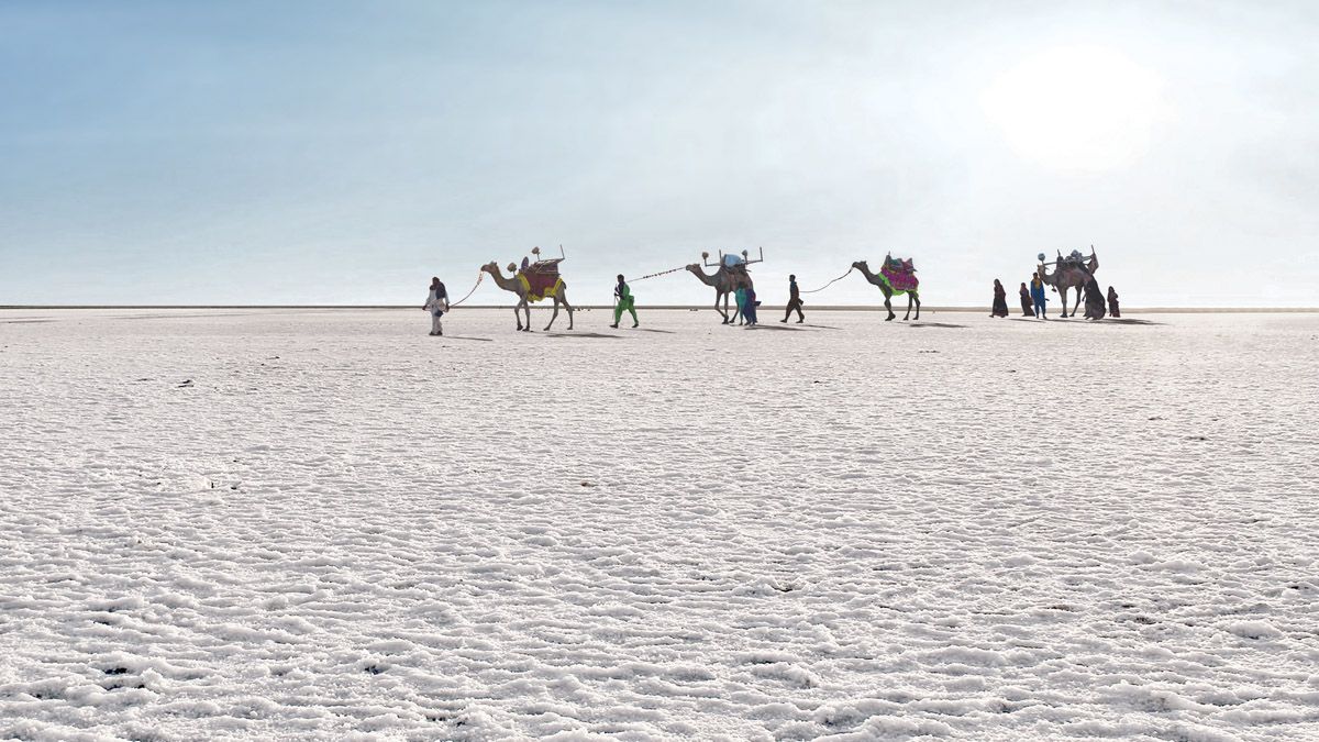 White Rann of Kutch