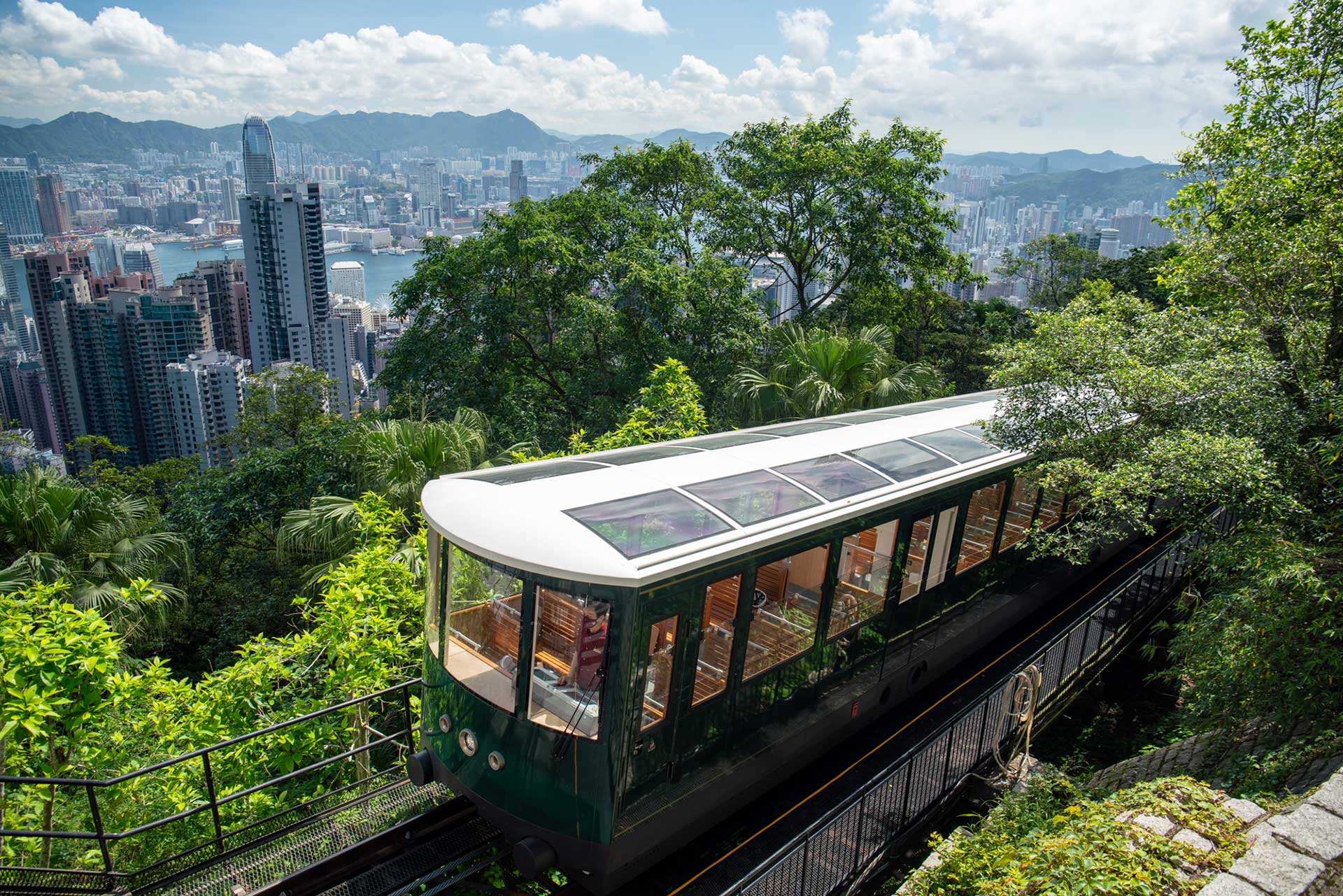 Victoria Peak View